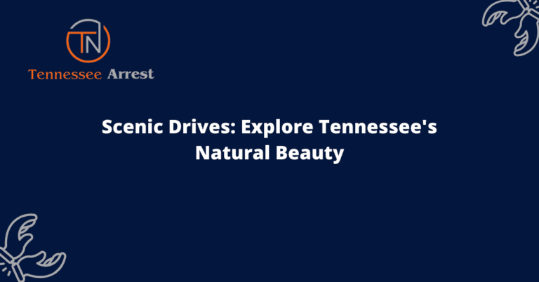Scenic Drives: Explore Tennessee's Natural Beauty