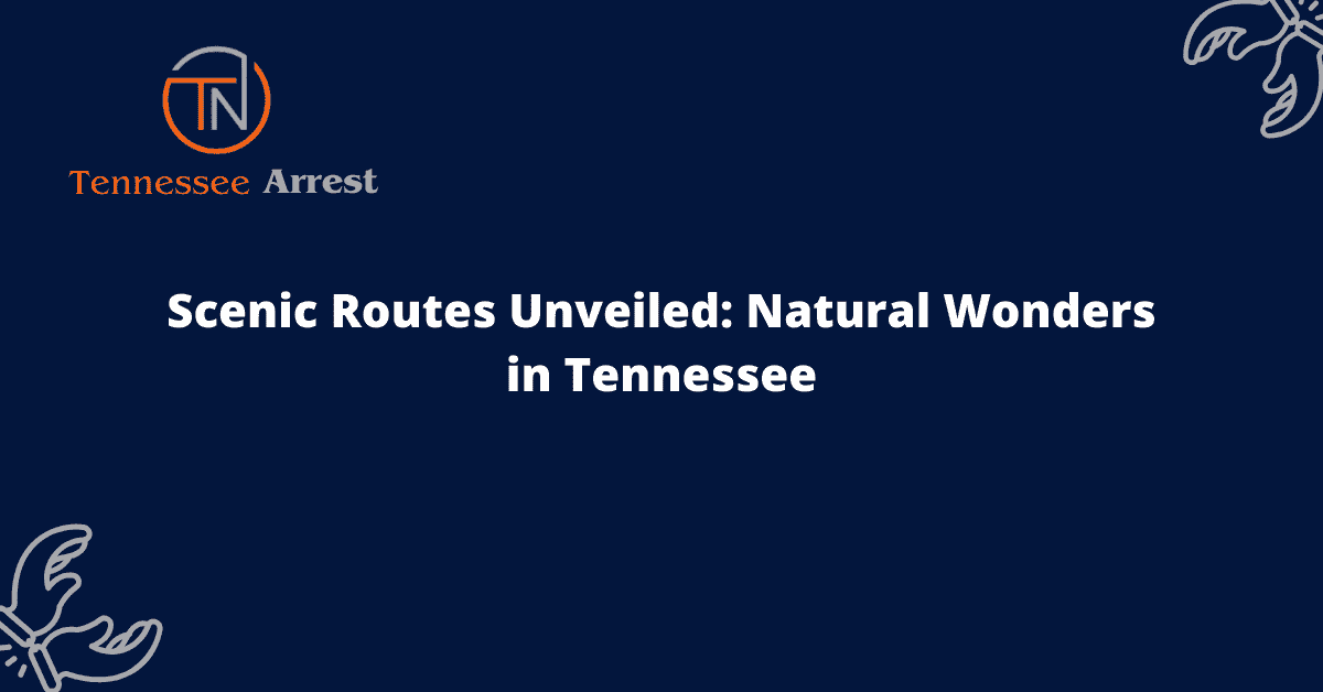 Scenic Routes Unveiled: Natural Wonders in Tennessee